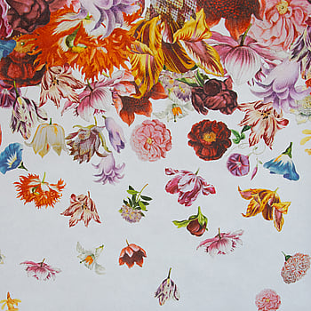 Galerie Wallcoverings Product Code 18003 - Tropical Wallpaper Collection - Coconut Colours -  