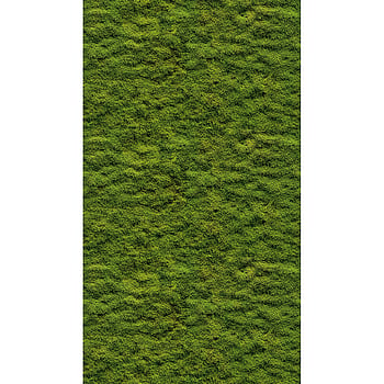 Galerie Wallcoverings Product Code WH45208M - Welcome Home Murals Wallpaper Collection - Green Colours -  